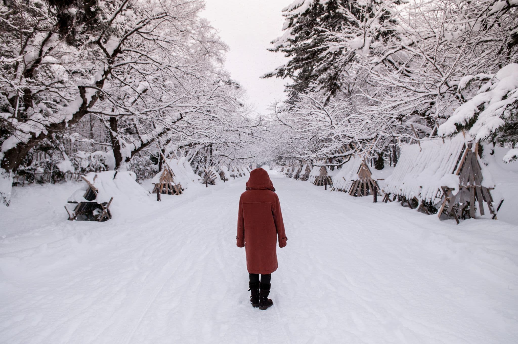 Image of a person in a red winter coat standing on a snow-covered path surrounded by snow-laden trees and wooden structures on a quiet winter day.